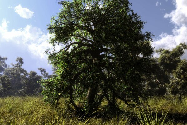 Sommer Natur, Baum und Gras