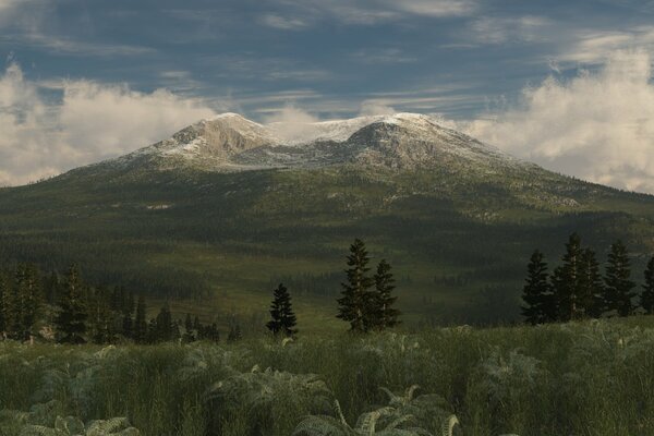 Taiga , the peaks of the mountains are covered with snow and at the foot there is green grass and fir trees