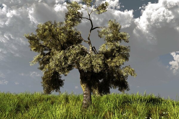 Art tree on a hill in tall grass