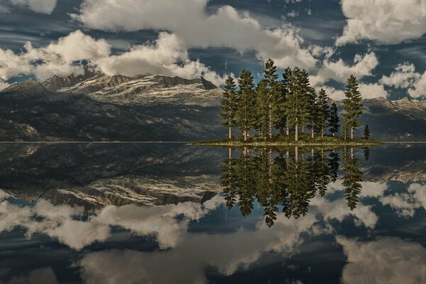 Ein See und ein Baumhaufen