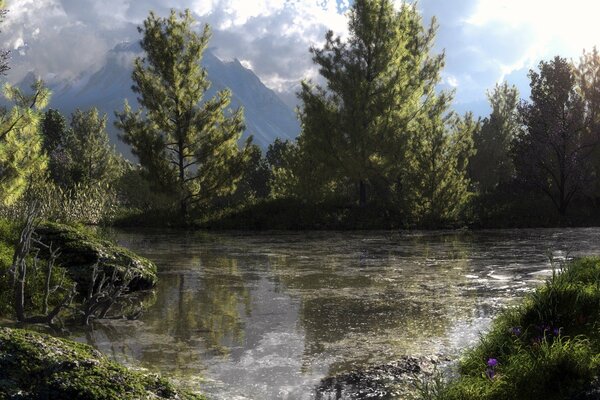 Día soleado en el bosque junto al lago