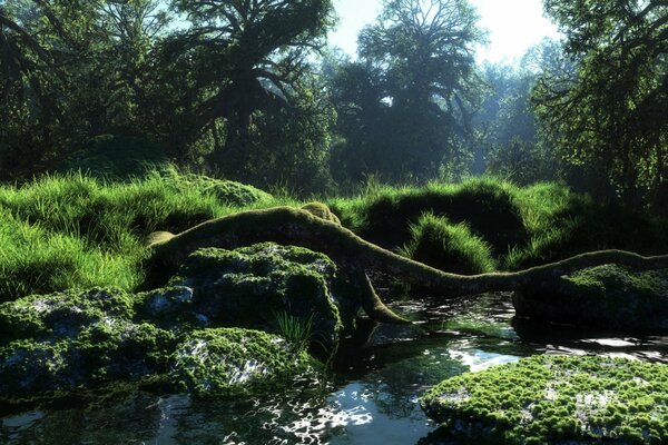 Naturaleza soleada en el bosque