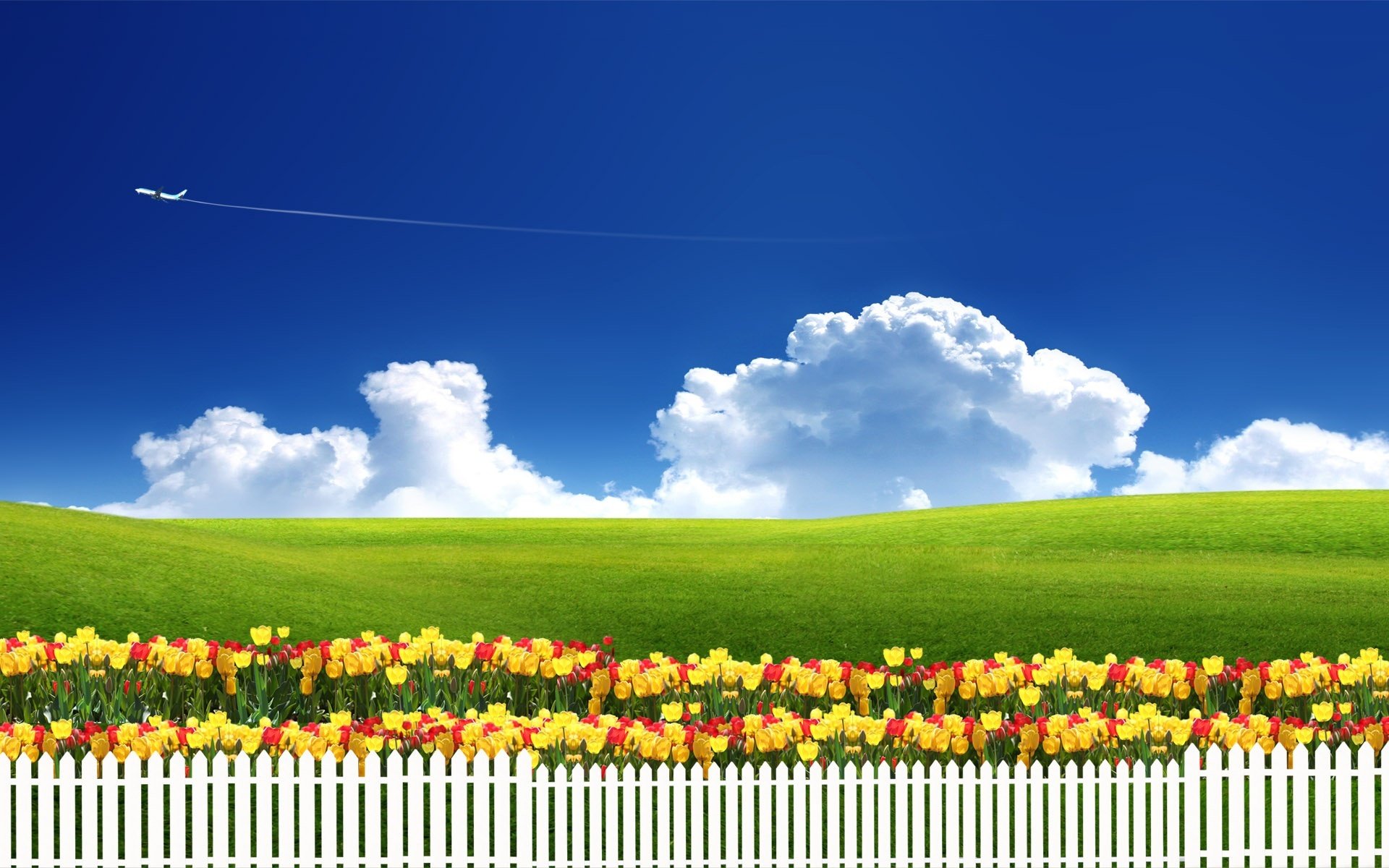 nature grass meadow flower tulips fence sky clouds plane