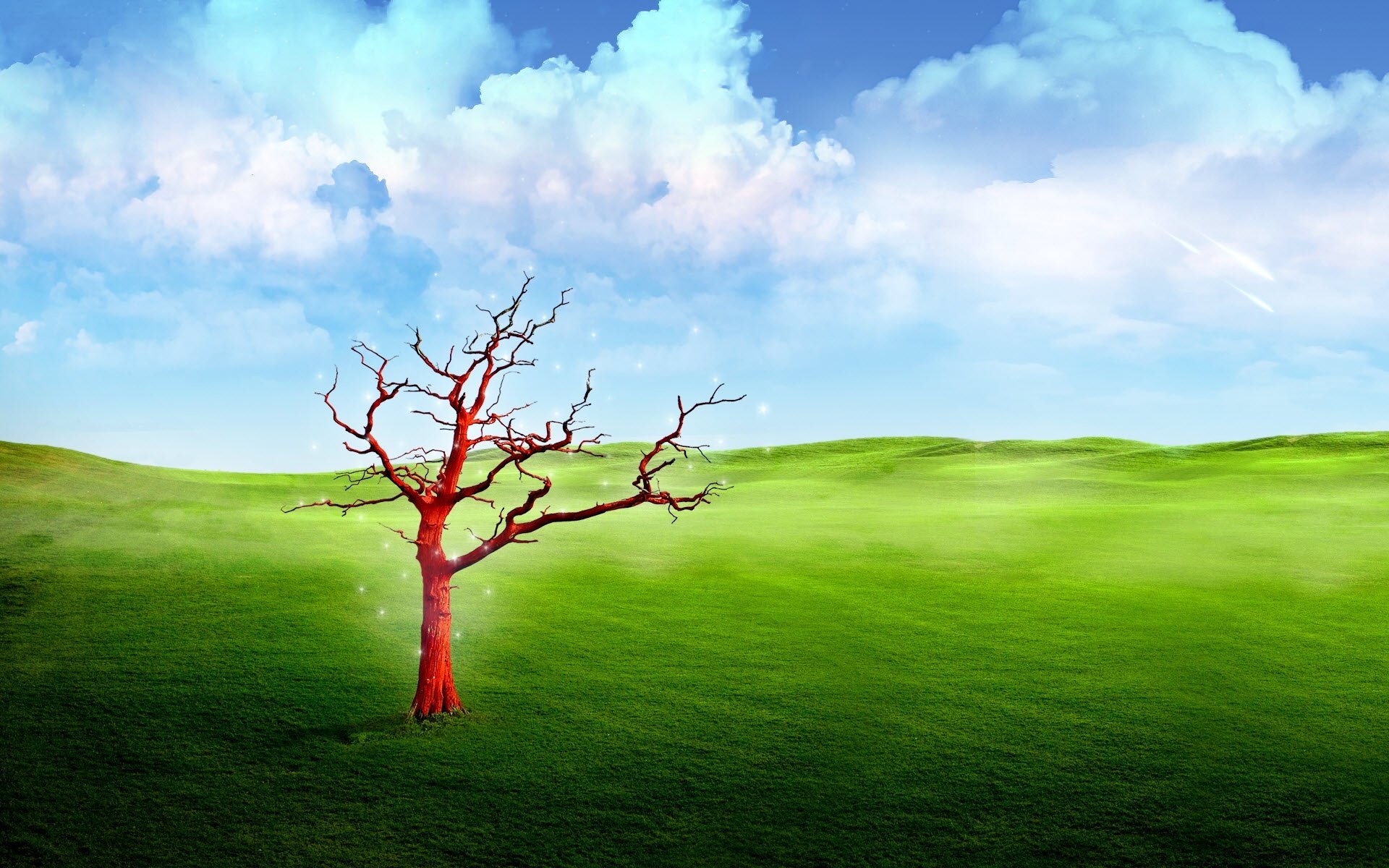 naturaleza hierba prado rojo árbol cielo nubes