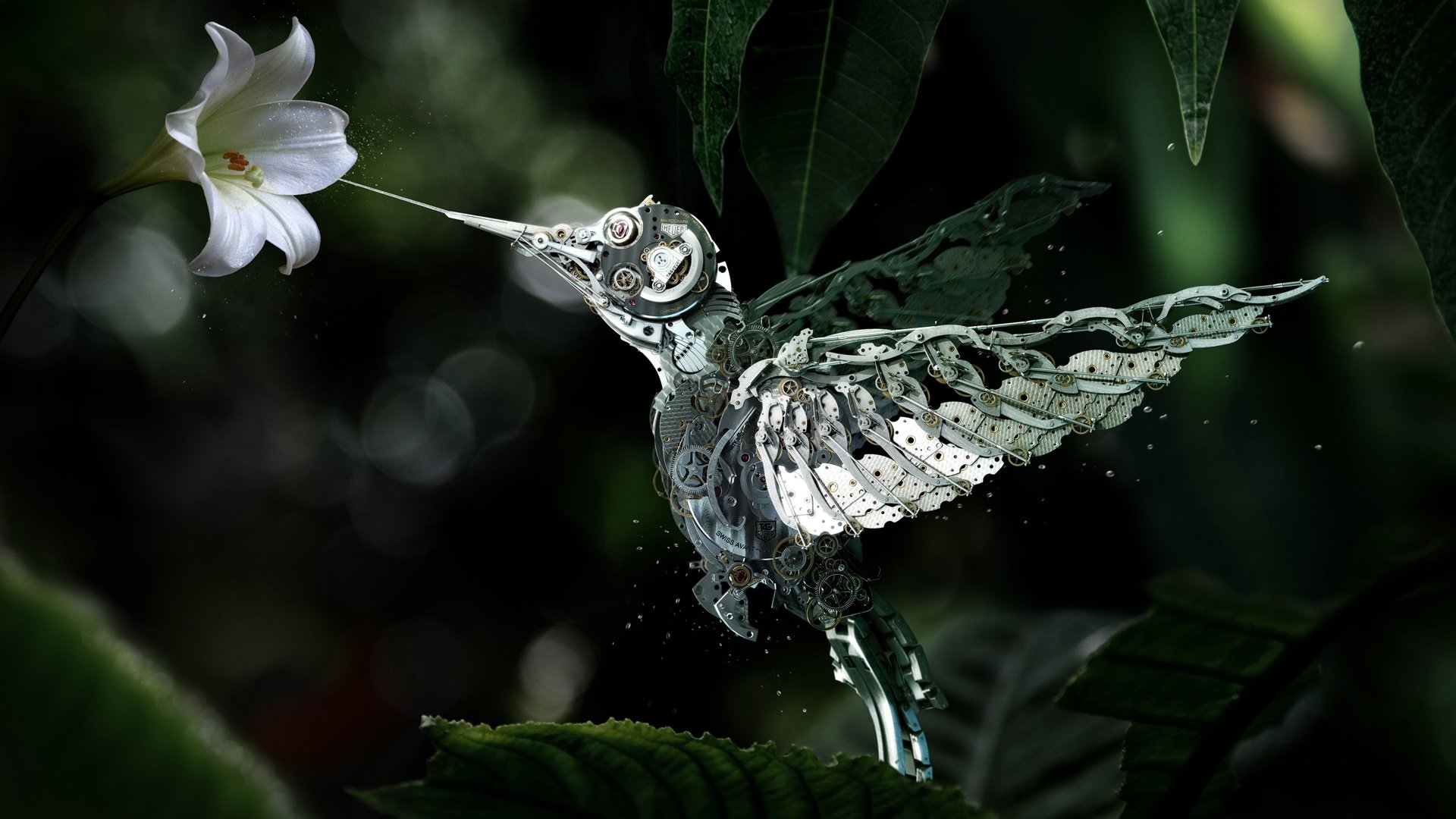 les colibris le robot le mécanisme la fleur