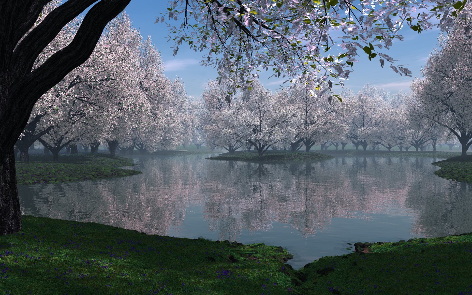 natura lago erba alberi fioritura primavera foschia fiori