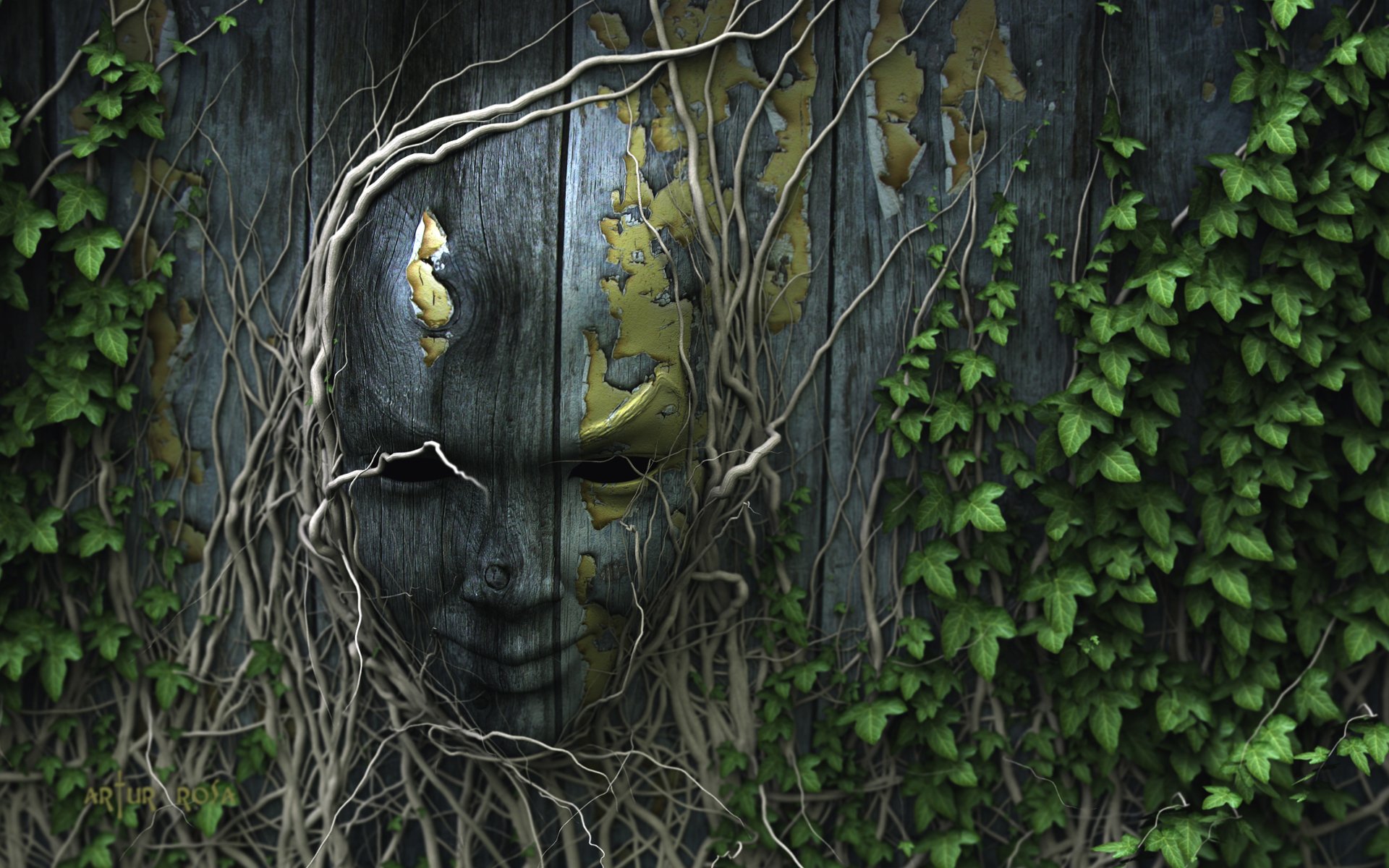 nature ivy the roots fence face