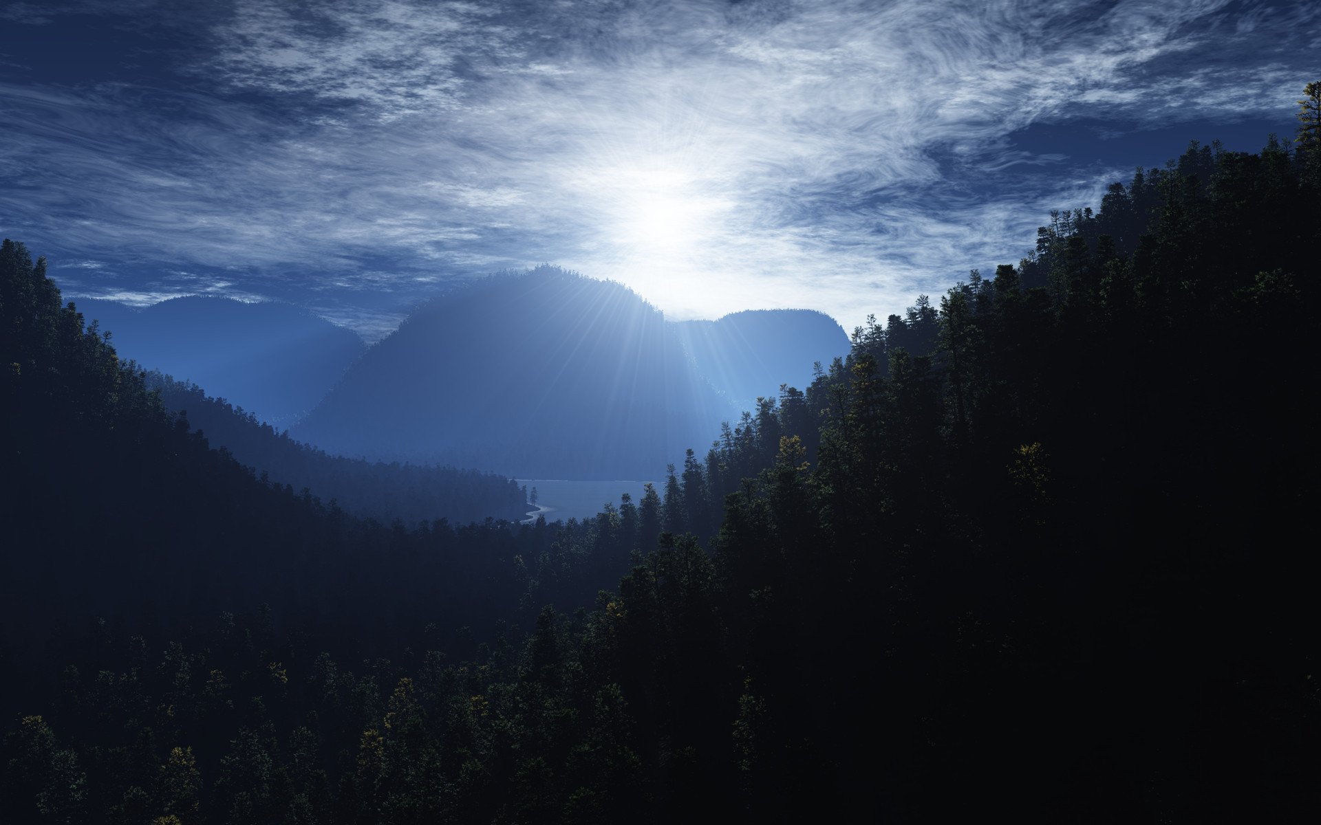 forêt soleil pénombre ciel