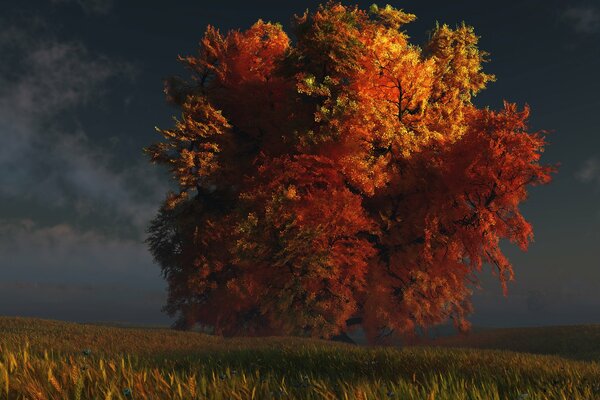 Un hermoso árbol de otoño