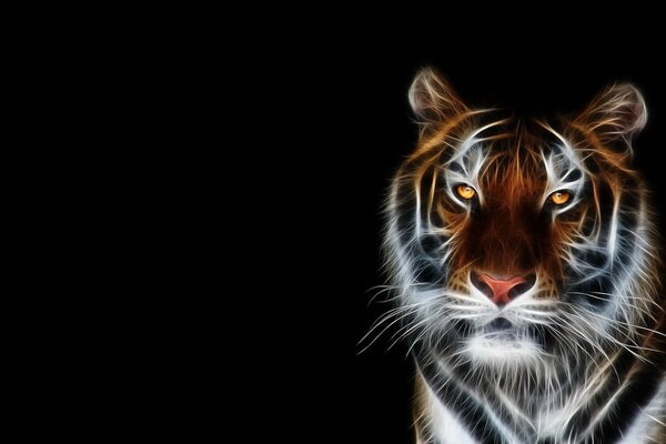 Immagine del muso di una tigre con gli occhi ardenti