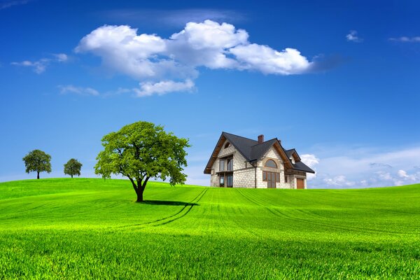 Landschaft über die Natur, Sommer, Haus, Haus, Bäume, Baum, Himmel, Wolken, Feld