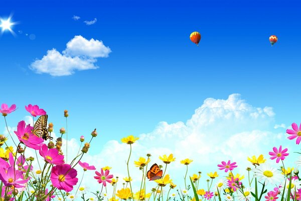 Bright summer landscape with balloons