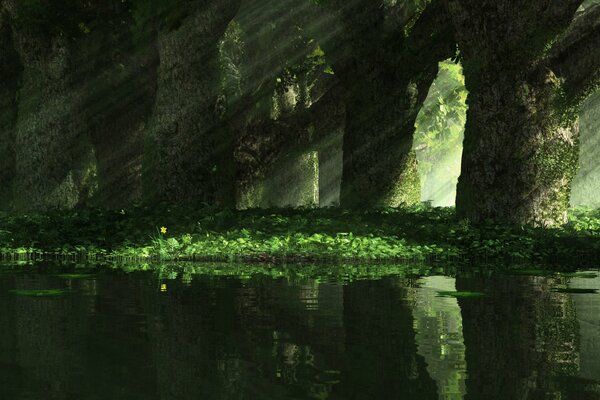 Natura misteriosa nell oscurità, luce dello specchio, erba verde