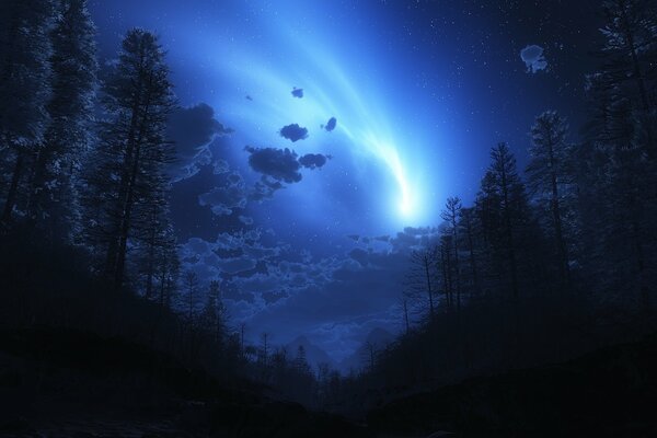 Fantástico resplandor en el cielo. Bosque nocturno. El camino azul