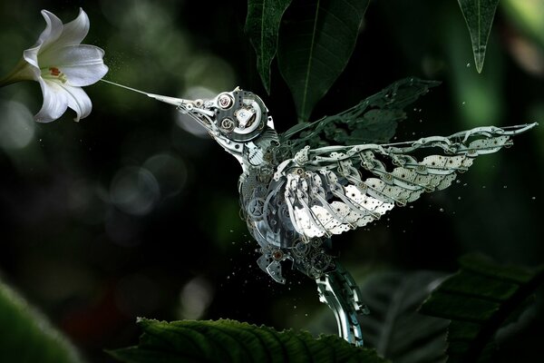 Une fleur et un robot de colibris