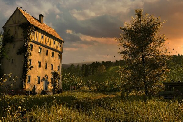 Casa sullo sfondo del tramonto nell erba verde