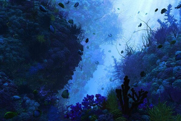 Corals and fish in the depths of the sea