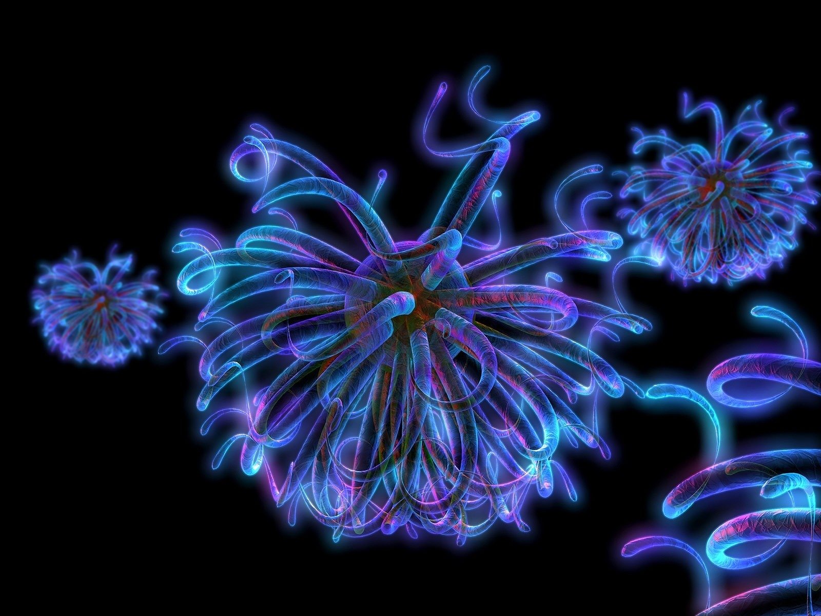 background neon dandelion