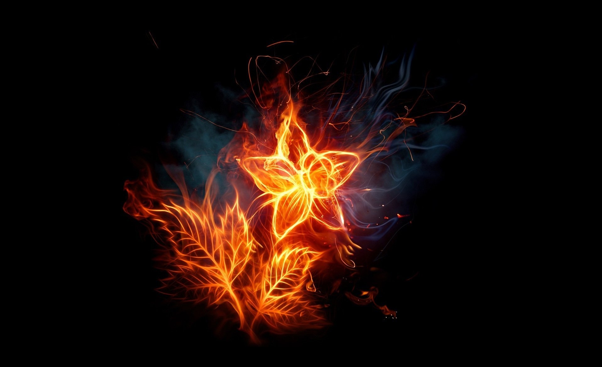 fire flower dark