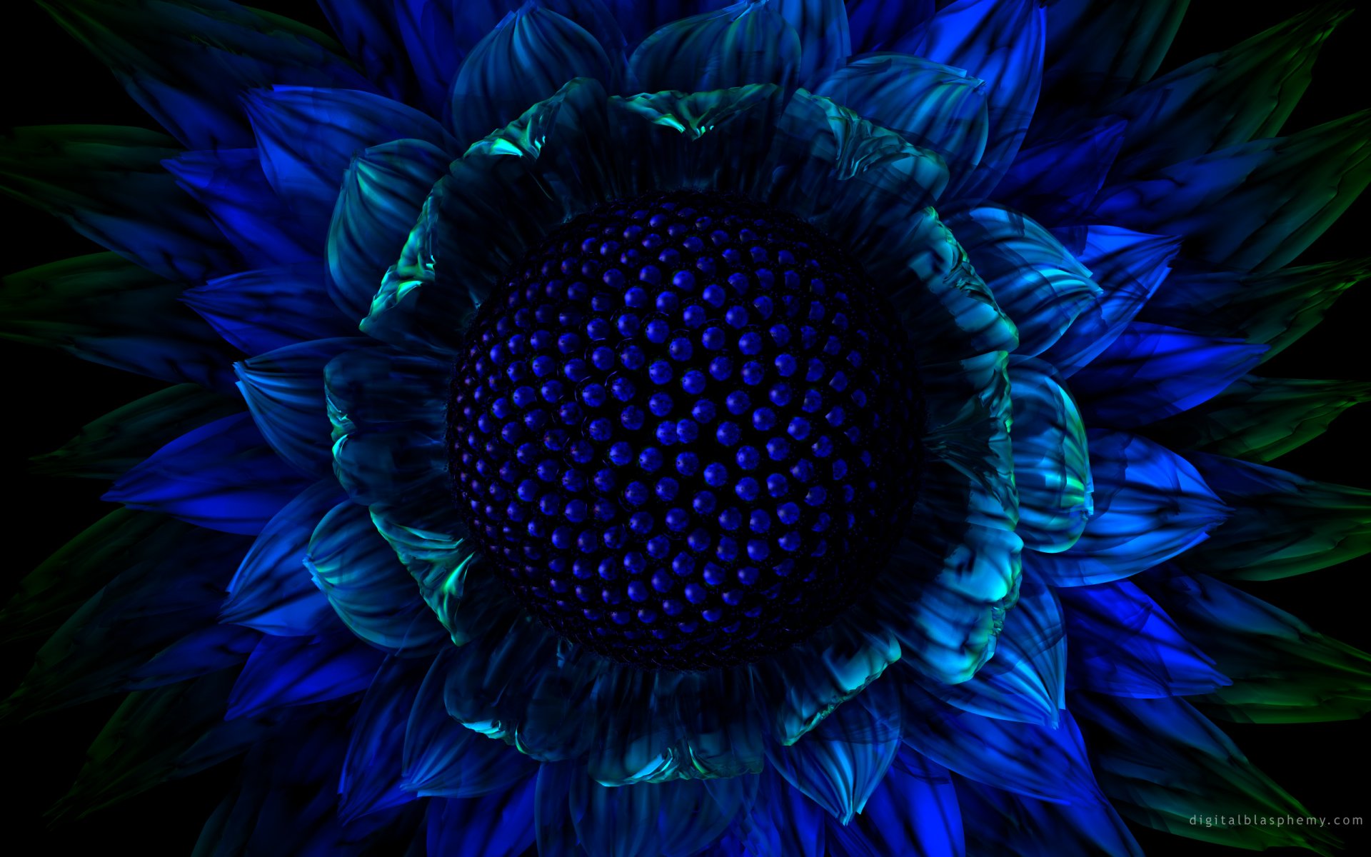 fiore blu grafica