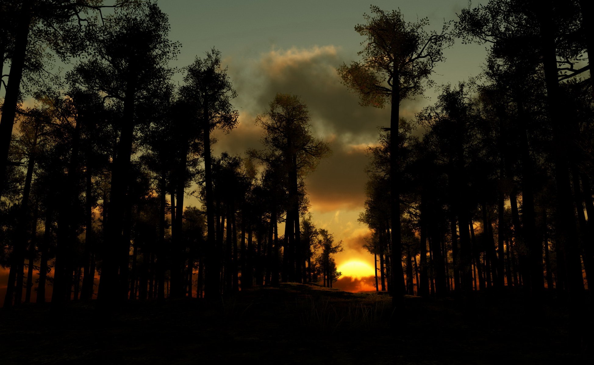 puesta del sol bosque noche nubes árboles