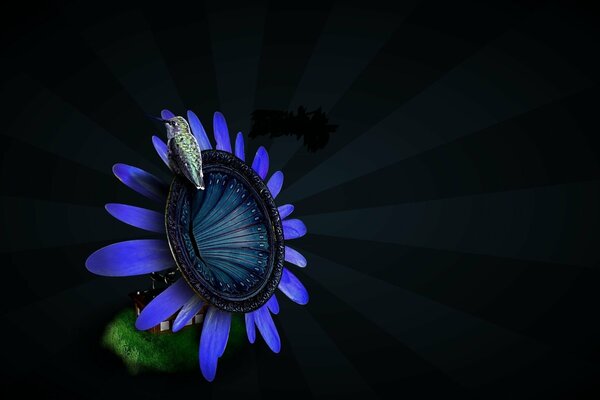 A flower with blue petals and a bird