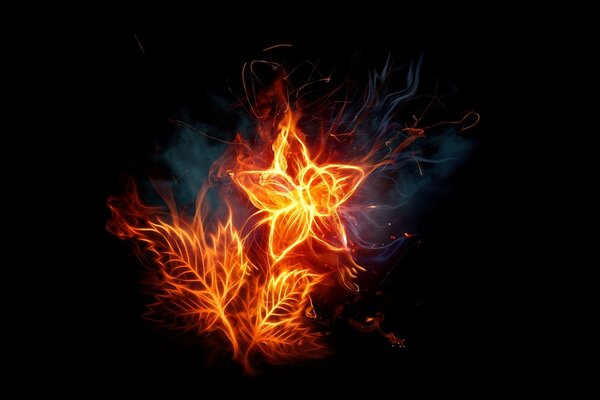 A fiery flower and lets out light in the dark