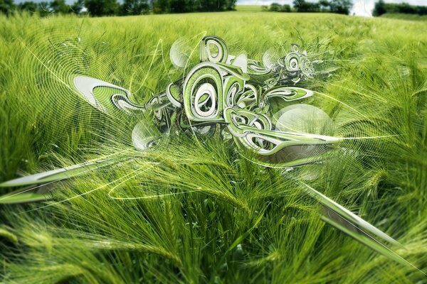 Espiguillas verdes en un campo con patrones