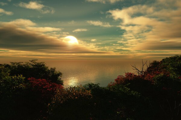 Des arbustes à fleurs, sur la côte de la mer avec un coucher de soleil derrière les nuages le soleil