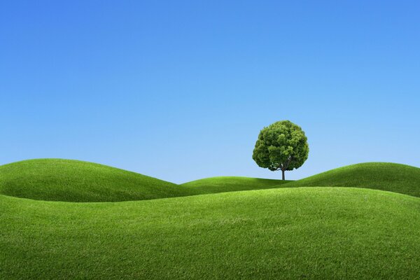 A green tree on undulating green hills on a blue background