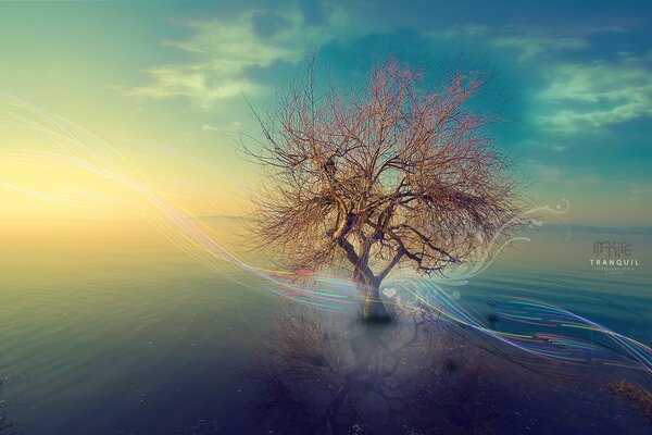 Multicolored spiral lines passing over the blue sea