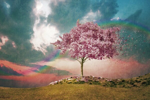 Rainbow over a flowering tree