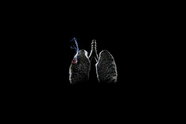 Smoker s lungs with cigarette smoke