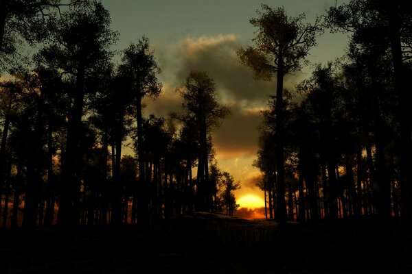 Tramonto nella Foresta Nera