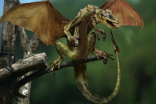 Le chuintement un petit dragon vert avec soulevées par la queue