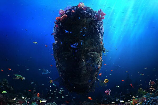 Le fond marin avec des poissons et la vie marine