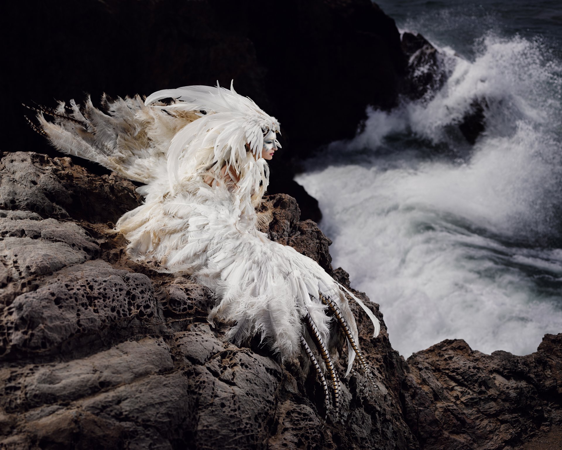 girl dress suit feathers poultry rock sea