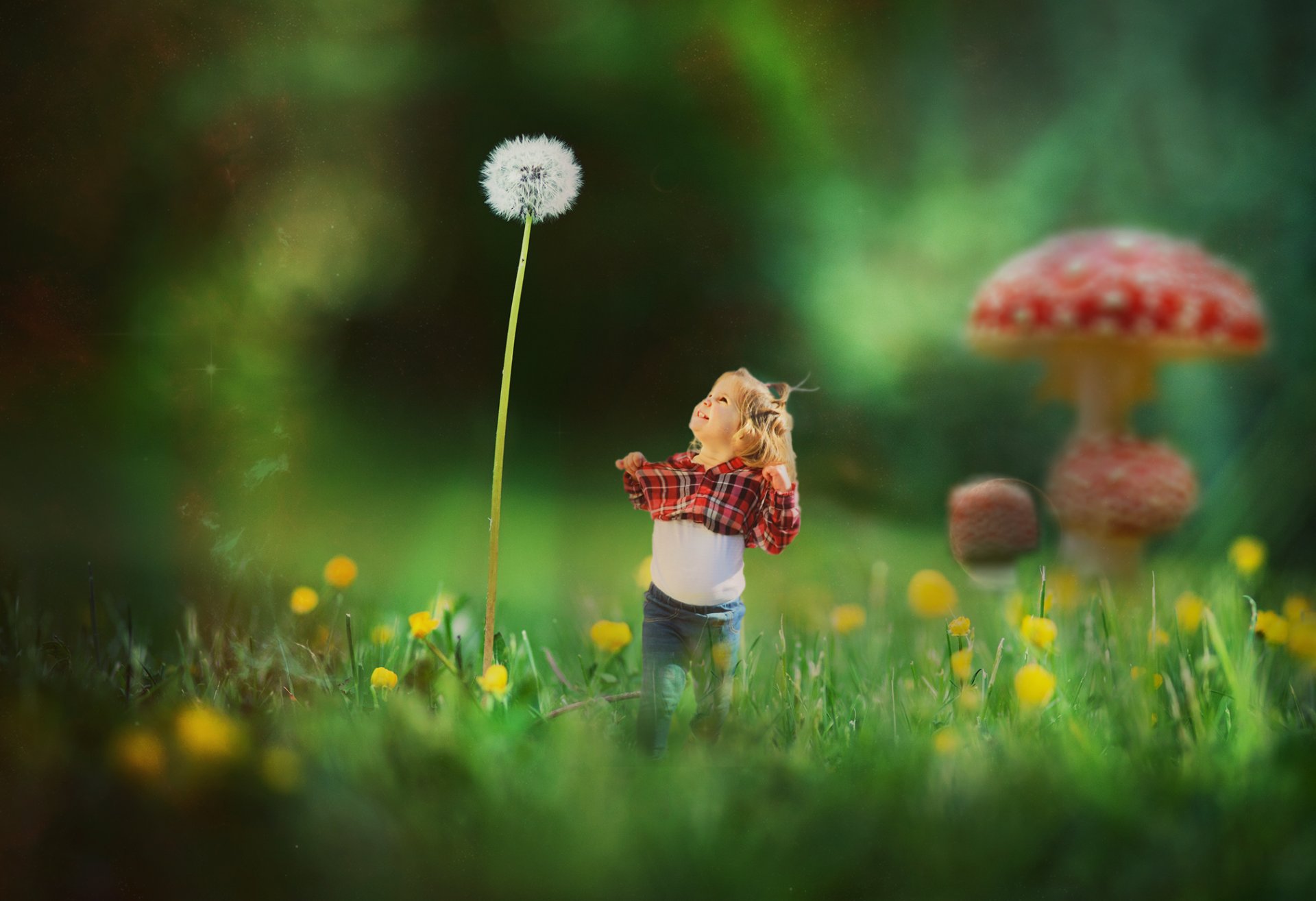 fantasy dandelion happiness amanita