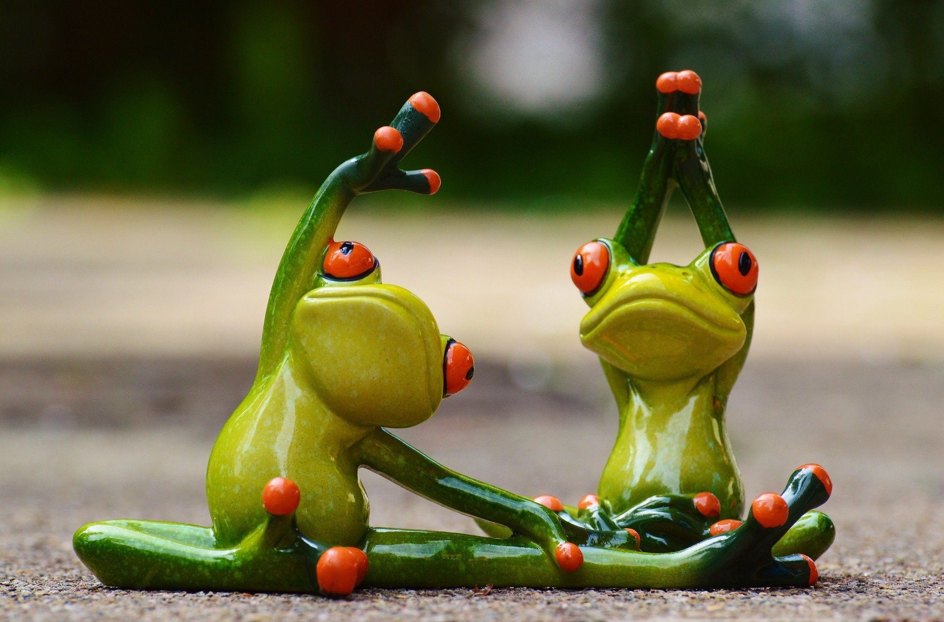 la grenouille la grenouille jouets figurines le sport le yoga la gymnastique drôle un centre