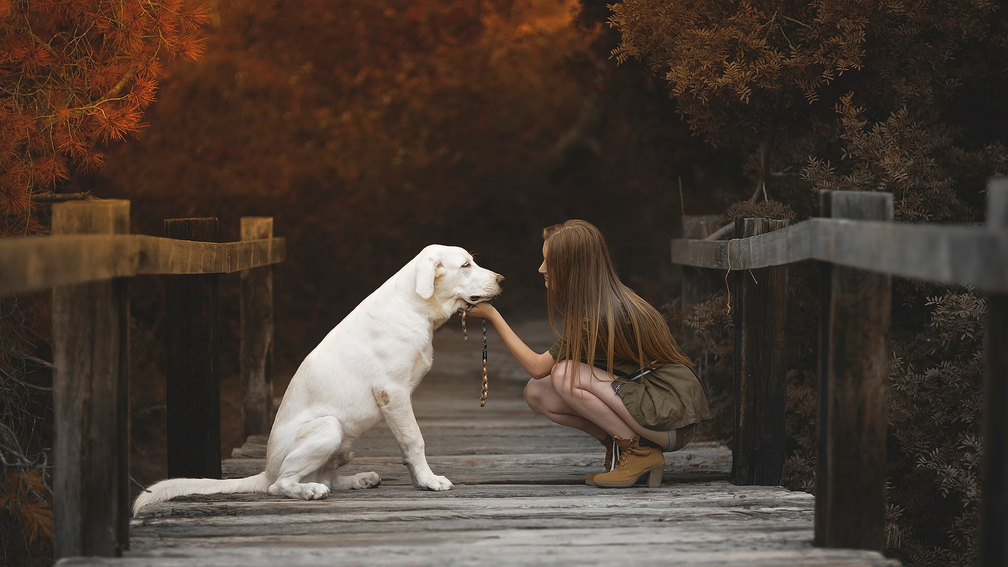 girl dog bridge