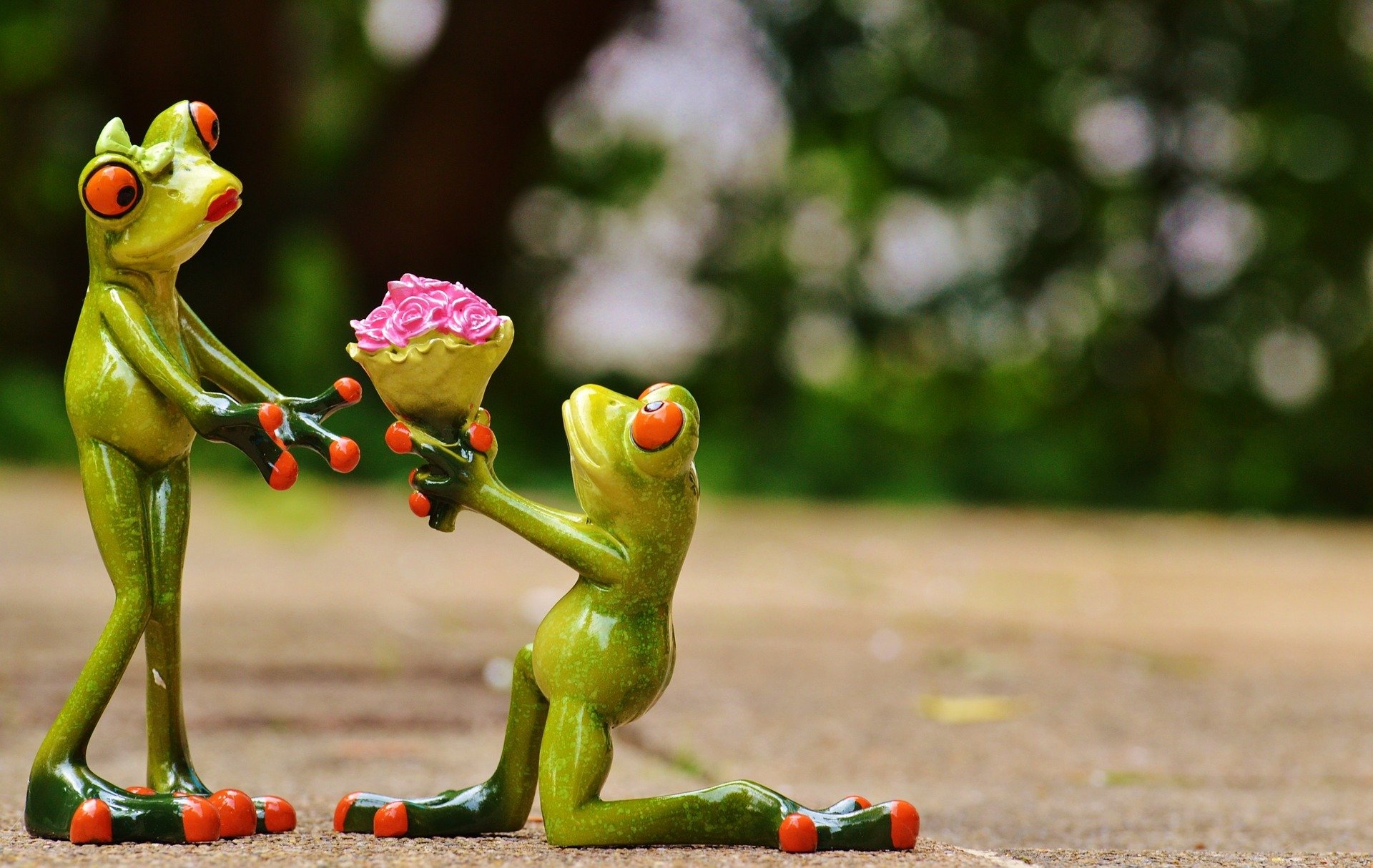 la grenouille la grenouille jouets figurines un couple un cadeau des fleurs un bouquet la reconnaissance l amour