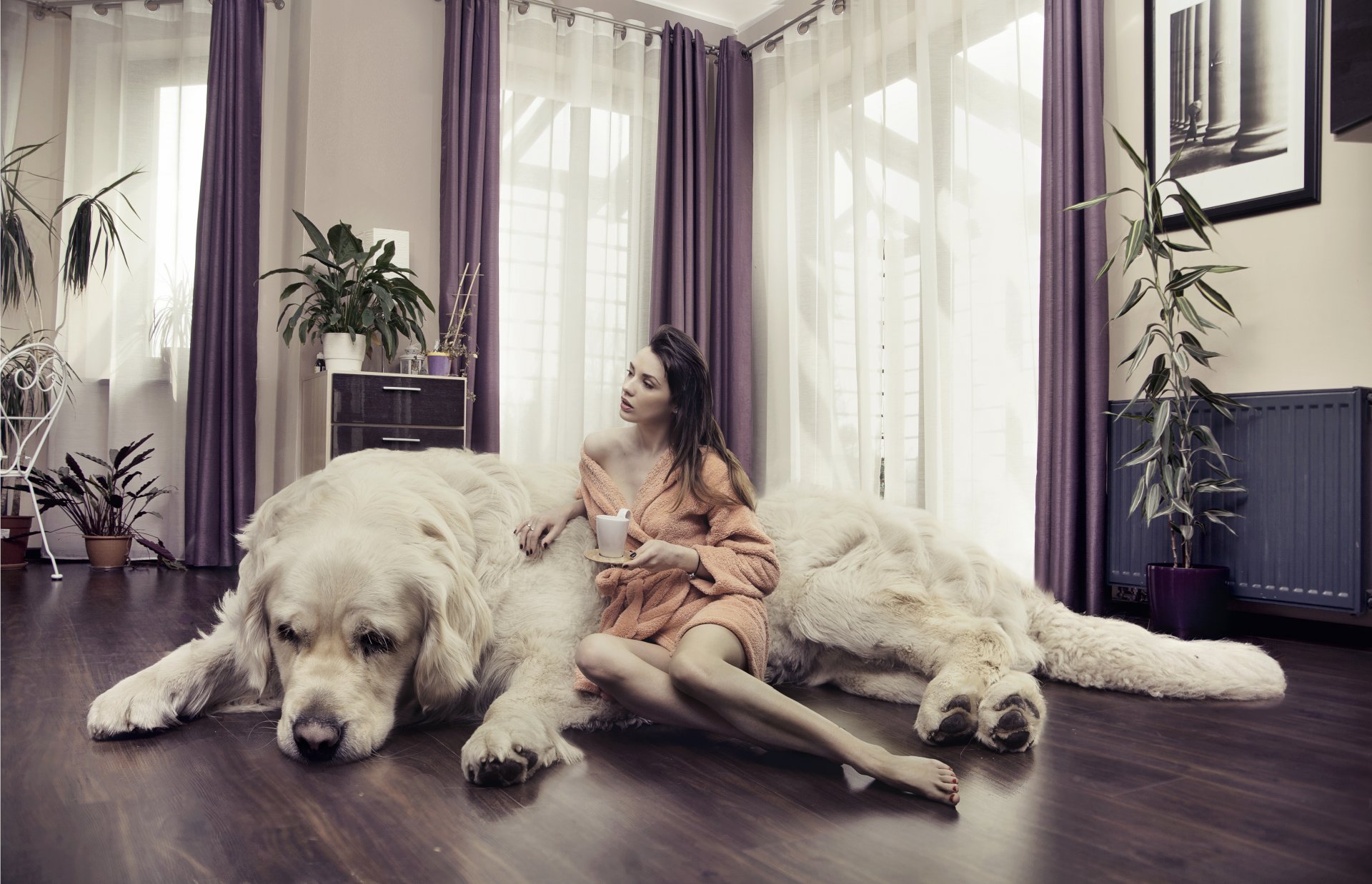 kreativ hund zimmer mädchen braunhaarige bademantel vorhänge pflanzen becher