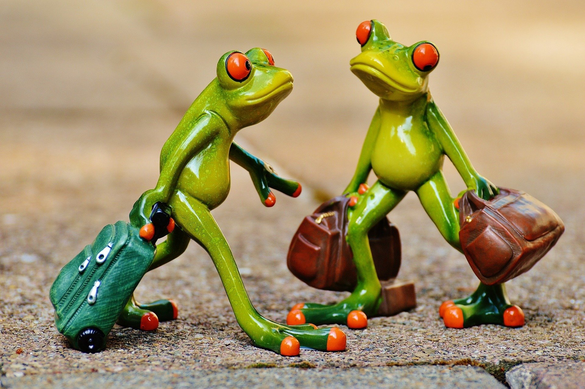 frog frogs toys figurines tourists travel suitcase