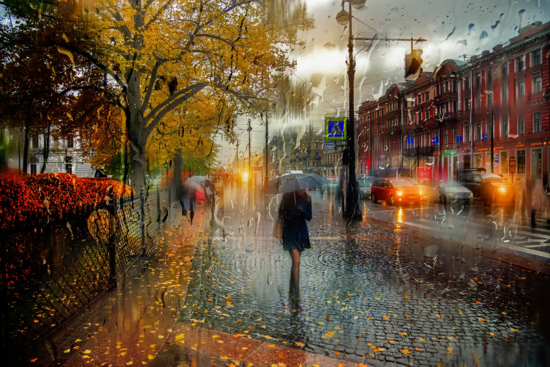 san petersburgo octubre lluvia chica paraguas