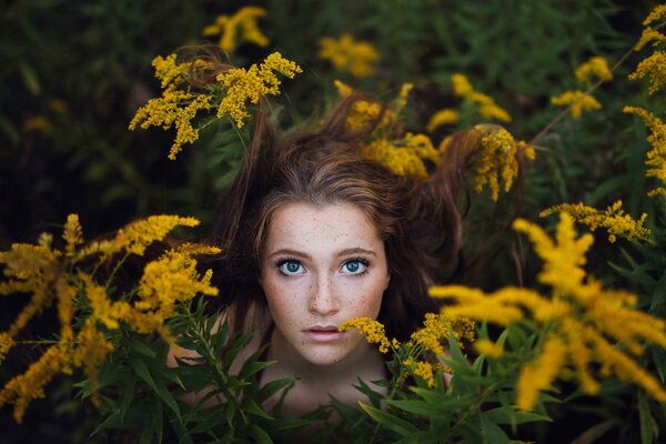 Chica con pecas en los matorrales de Mimosa