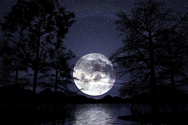 Большая полная луна над озером