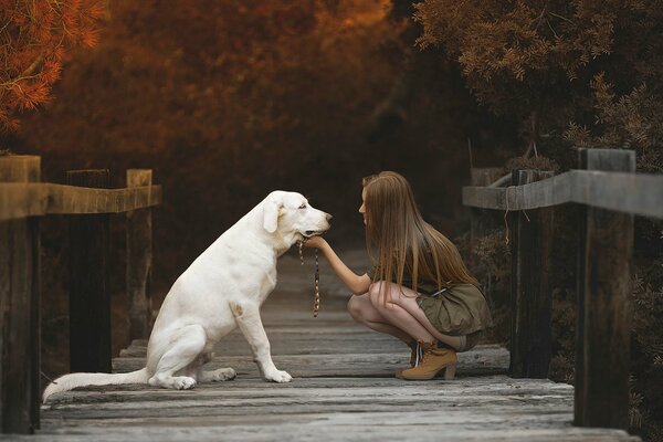 Ein Mädchen und ein Hund sitzen auf einer Brücke