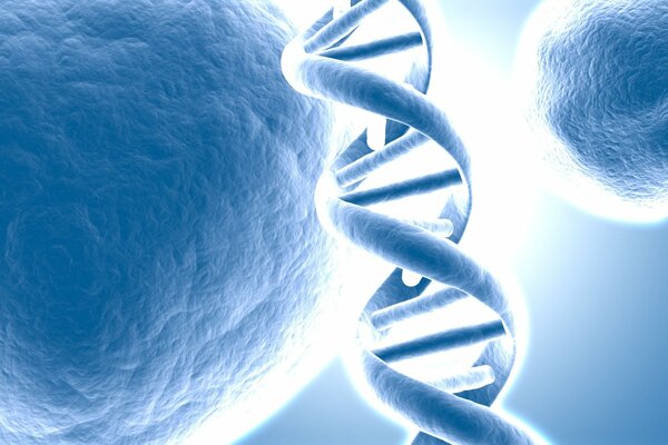 DNA test to establish paternity