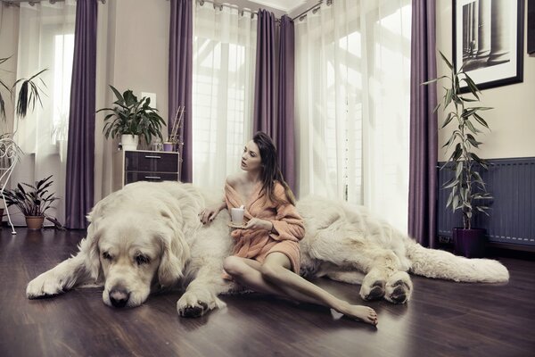 Creative photo with a girl and a dog