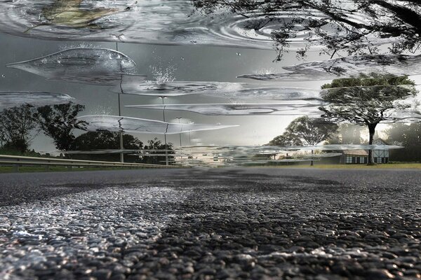 A whole puddle of water on the road